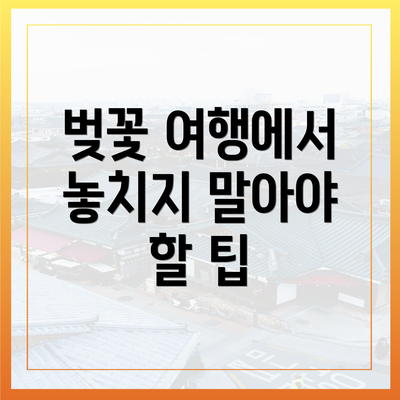 벚꽃 여행에서 놓치지 말아야 할 팁