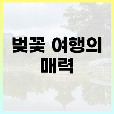 벚꽃 여행의 매력