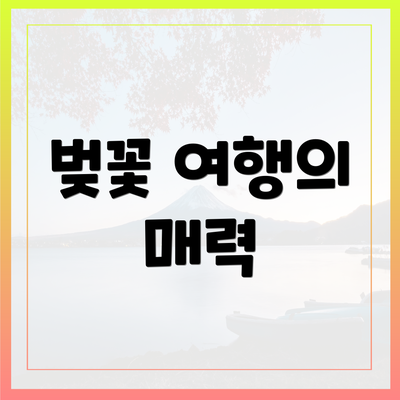 벚꽃 여행의 매력