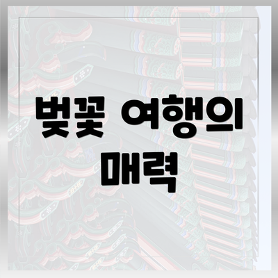 벚꽃 여행의 매력