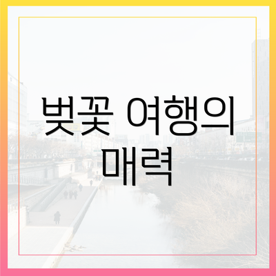 벚꽃 여행의 매력