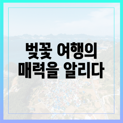 벚꽃 여행의 매력을 알리다