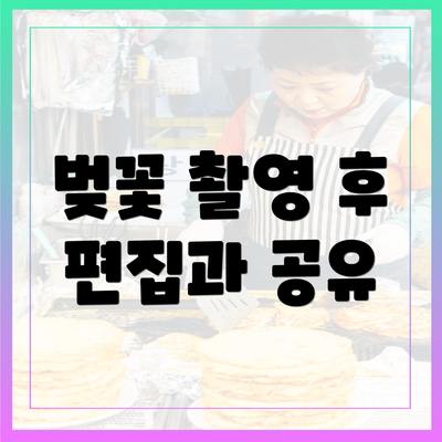 벚꽃 촬영 후 편집과 공유
