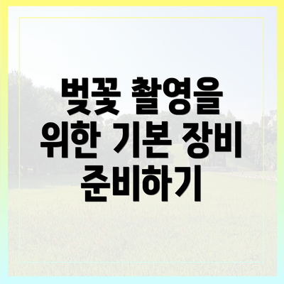 벚꽃 촬영을 위한 기본 장비 준비하기