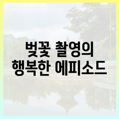 벚꽃 촬영의 행복한 에피소드