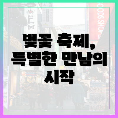 벚꽃 축제, 특별한 만남의 시작