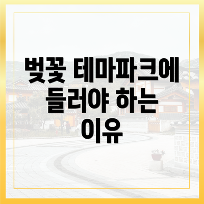 벚꽃 테마파크에 들러야 하는 이유