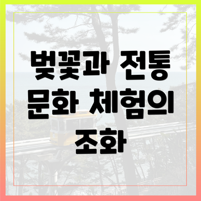 벚꽃과 전통 문화 체험의 조화