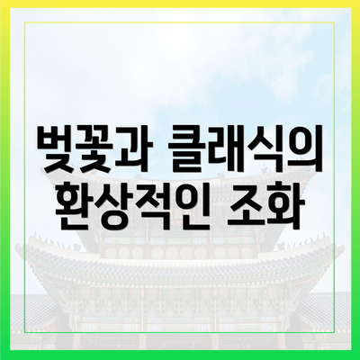 벚꽃과 클래식의 환상적인 조화