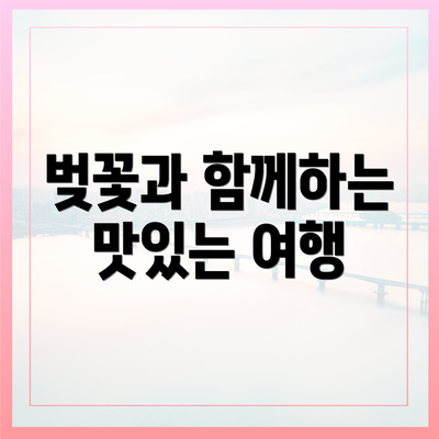 벚꽃과 함께하는 맛있는 여행
