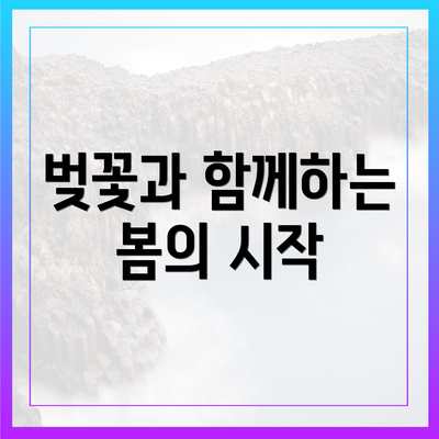 벚꽃과 함께하는 봄의 시작
