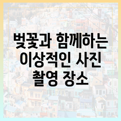 벚꽃과 함께하는 이상적인 사진 촬영 장소