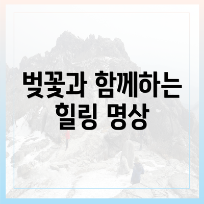 벚꽃과 함께하는 힐링 명상