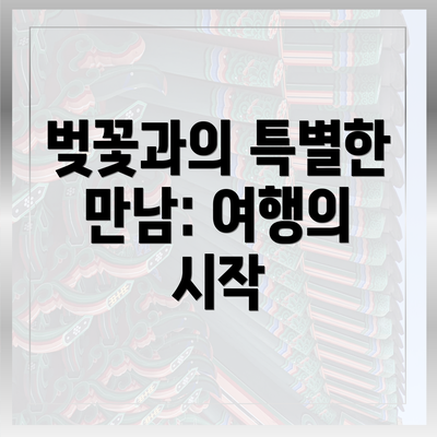 벚꽃과의 특별한 만남: 여행의 시작