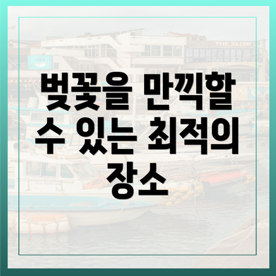 벚꽃을 만끽할 수 있는 최적의 장소
