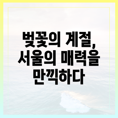 벚꽃의 계절, 서울의 매력을 만끽하다