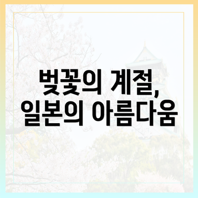 벚꽃의 계절, 일본의 아름다움