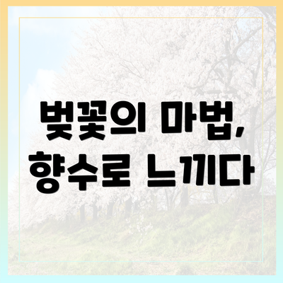 벚꽃의 마법, 향수로 느끼다