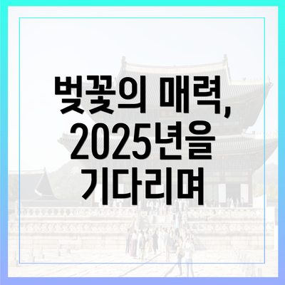 벚꽃의 매력, 2025년을 기다리며