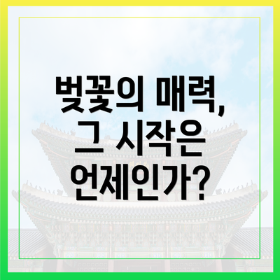 벚꽃의 매력, 그 시작은 언제인가?