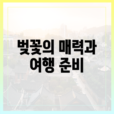 벚꽃의 매력과 여행 준비