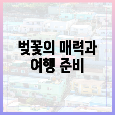 벚꽃의 매력과 여행 준비