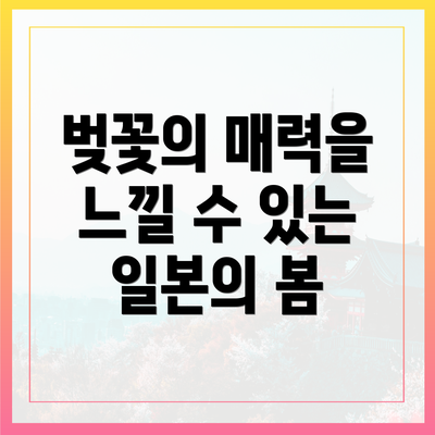 벚꽃의 매력을 느낄 수 있는 일본의 봄