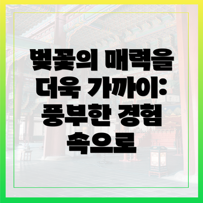 벚꽃의 매력을 더욱 가까이: 풍부한 경험 속으로