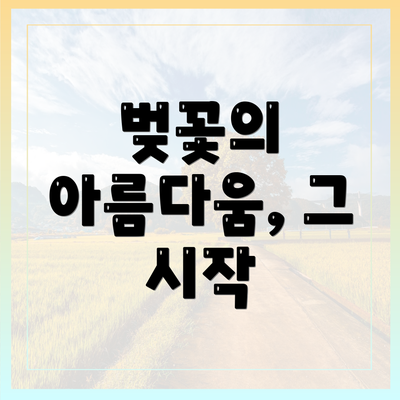 벚꽃의 아름다움, 그 시작