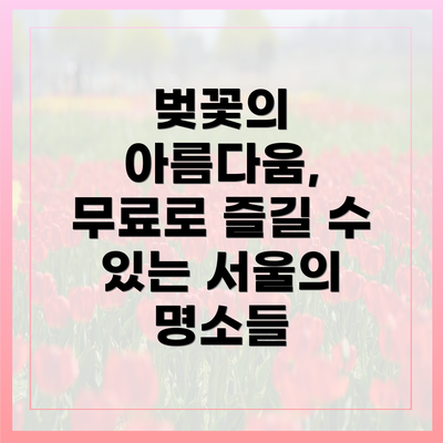 벚꽃의 아름다움, 무료로 즐길 수 있는 서울의 명소들