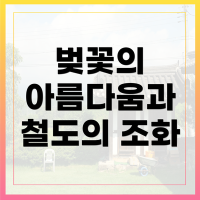 벚꽃의 아름다움과 철도의 조화