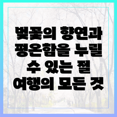 벚꽃의 향연과 평온함을 누릴 수 있는 절 여행의 모든 것