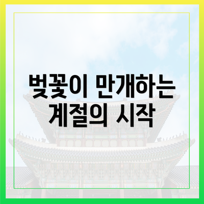 벚꽃이 만개하는 계절의 시작