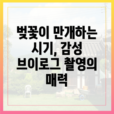 벚꽃이 만개하는 시기, 감성 브이로그 촬영의 매력
