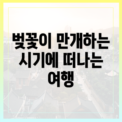 벚꽃이 만개하는 시기에 떠나는 여행
