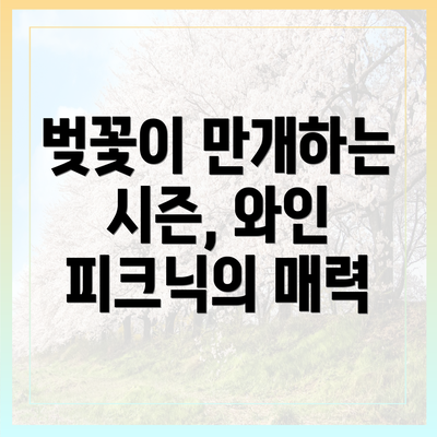 벚꽃이 만개하는 시즌, 와인 피크닉의 매력
