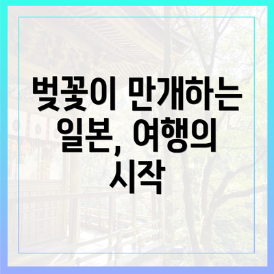 벚꽃이 만개하는 일본, 여행의 시작