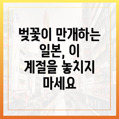 벚꽃이 만개하는 일본, 이 계절을 놓치지 마세요