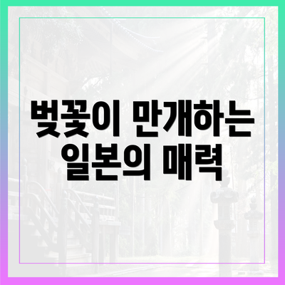 벚꽃이 만개하는 일본의 매력