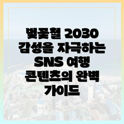 벚꽃철 2030 감성을 자극하는 SNS 여행 콘텐츠의 완벽 가이드