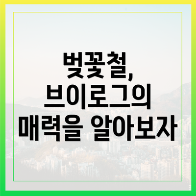 벚꽃철, 브이로그의 매력을 알아보자