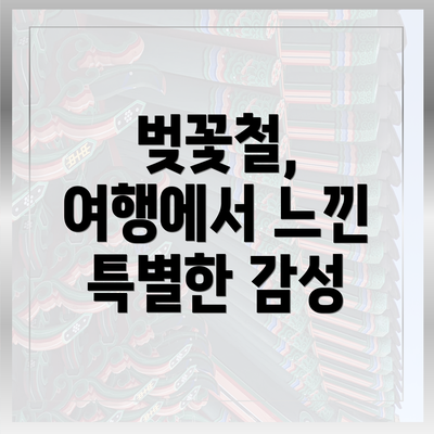 벚꽃철, 여행에서 느낀 특별한 감성