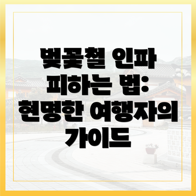 벚꽃철 인파 피하는 법: 현명한 여행자의 가이드