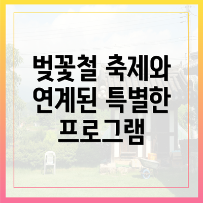 벚꽃철 축제와 연계된 특별한 프로그램