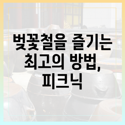 벚꽃철을 즐기는 최고의 방법, 피크닉