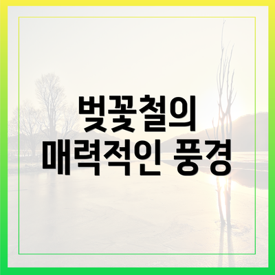 벚꽃철의 매력적인 풍경