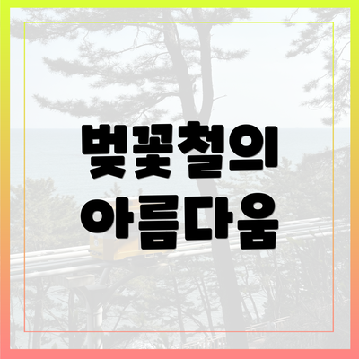 벚꽃철의 아름다움