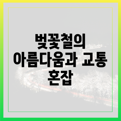 벚꽃철의 아름다움과 교통 혼잡