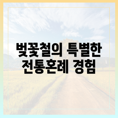 벚꽃철의 특별한 전통혼례 경험
