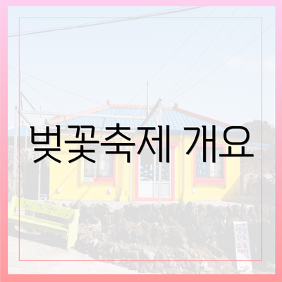벚꽃축제 개요
